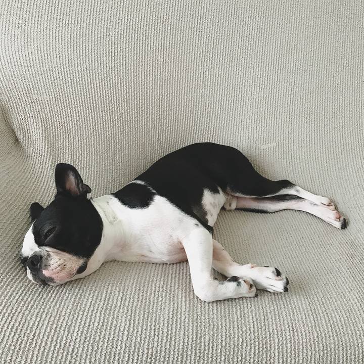 Cefbcd80 975c 4ae4 a9fd f21bdfecff27