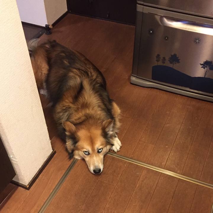 Cefc43e6 22a6 4988 8a4f 3c88e166ec3d