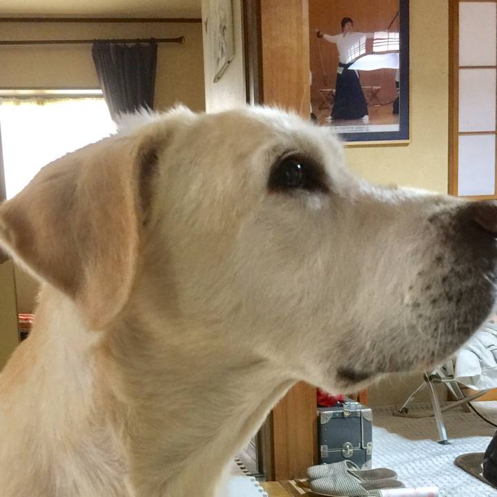 Cefcb118 7027 427b b005 8e962e0ab556