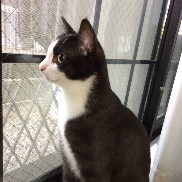 Cefd32cb 8886 4055 a24c df52b9a84998