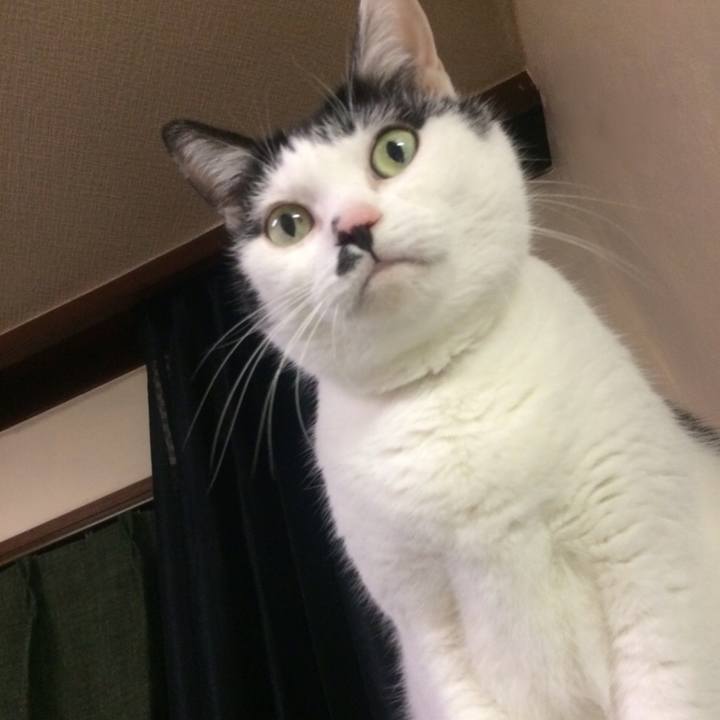 Cefd71f7 474f 4e30 a55a 9fd31445f87b