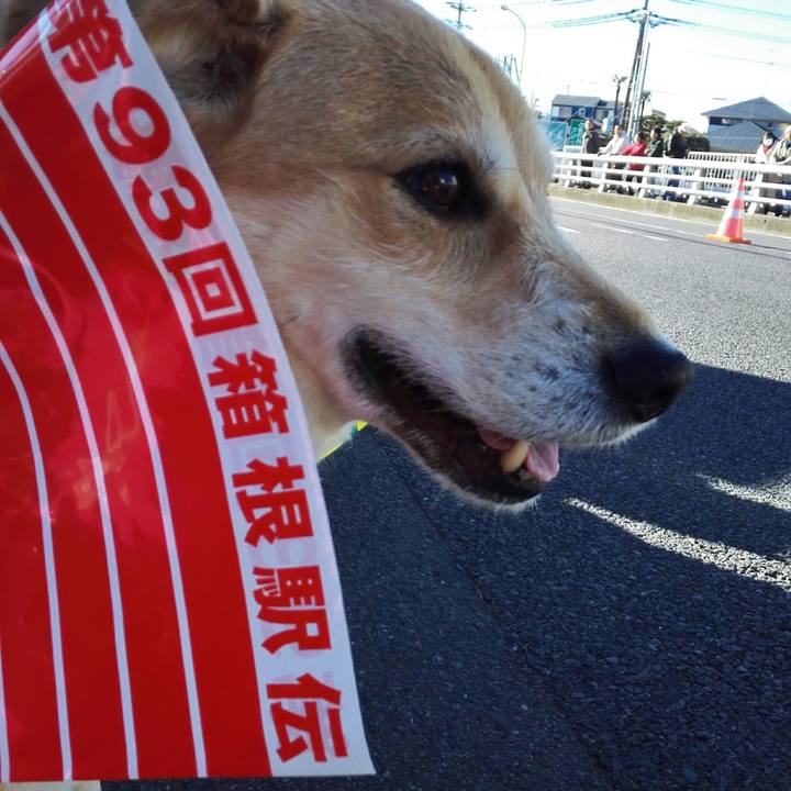 Cefe0067 b0cd 40b4 a45e c7621373448a