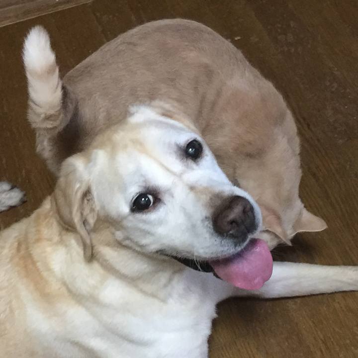 Cefe69ab 6651 4b3f a7ab 92b355990f7c