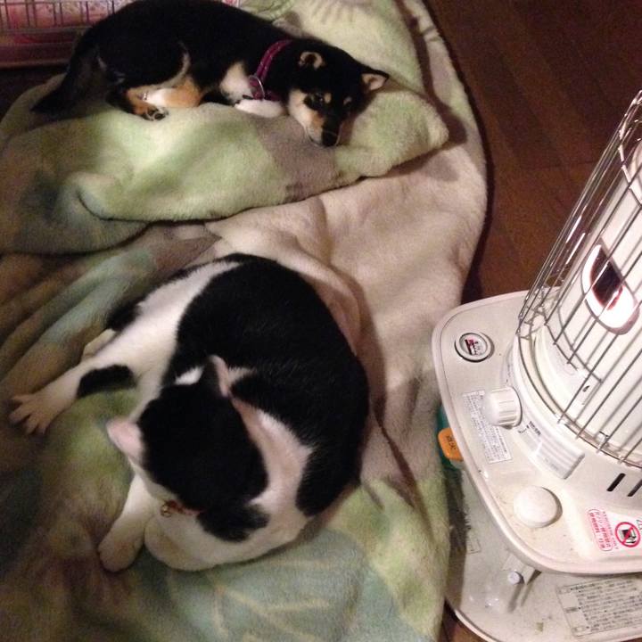 Cefed40b 3299 43c2 9542 e138eac61903