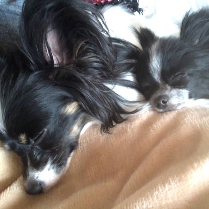 Ceffcc22 800b 4be9 81fc d7ee2113be1d