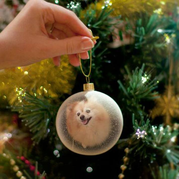 Ceffd529 fc7e 4aee 943f 6efa9c4484d5