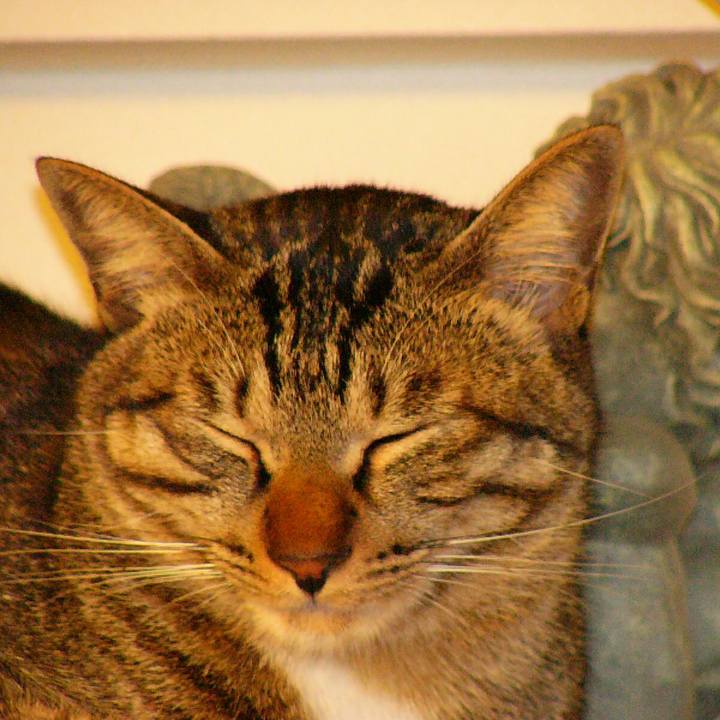 Cefffaa4 20a1 4793 ac7e ea2216a2a12b