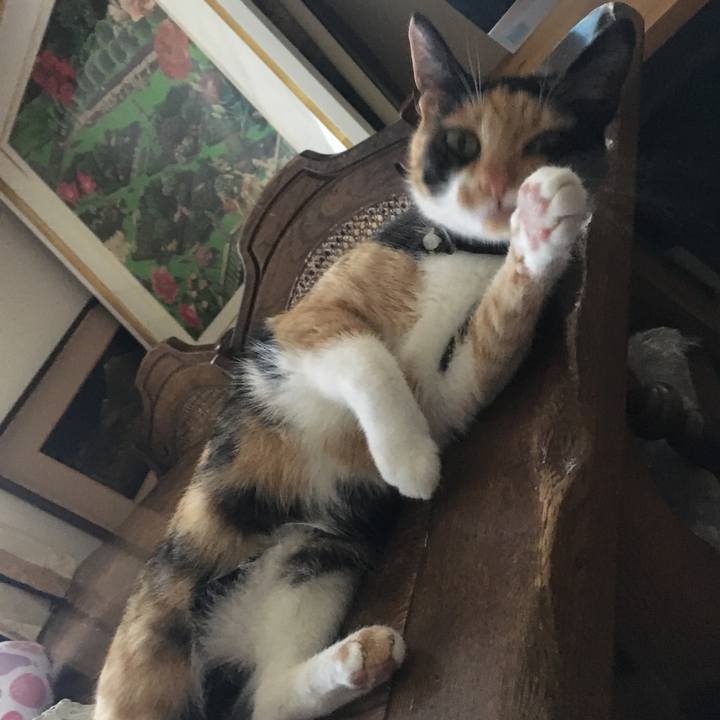 Cf000ddd 8b50 458f 8a0e 8e1632bfecda