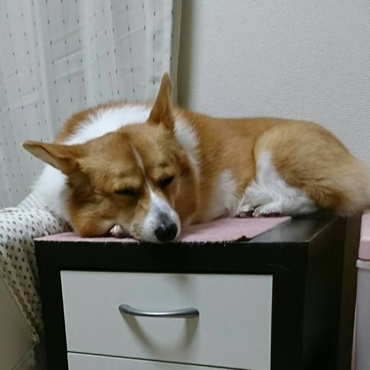 Cf005df5 8b1c 4c35 9c07 c945d4103b6f