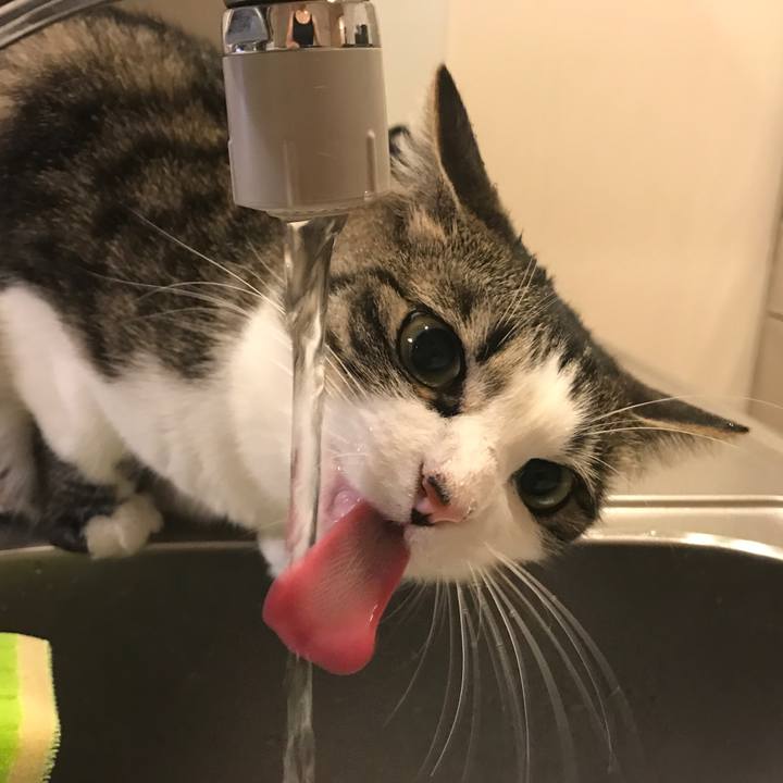 Cf00a163 ec2c 4bdf afc0 f09a1b7845fb