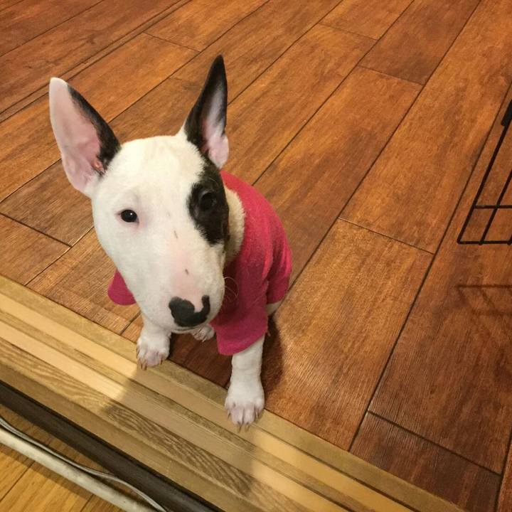 Cf00a514 b8d1 4c3f 921b 973f9f127ca1