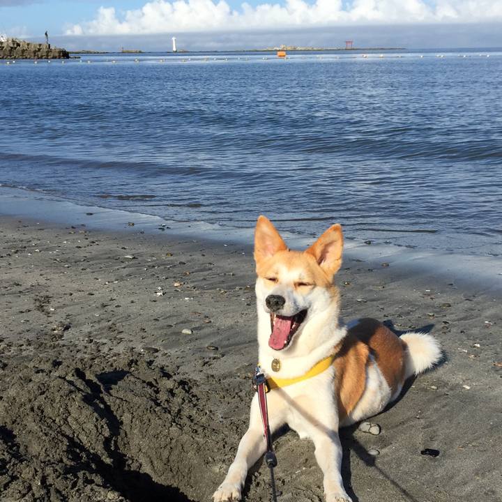 Cf015ff7 df06 4a51 937b 50444bf36f8a