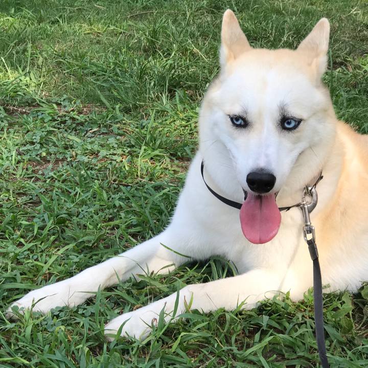 Cf025c60 4e9b 4b70 b819 bc86edba1cbb