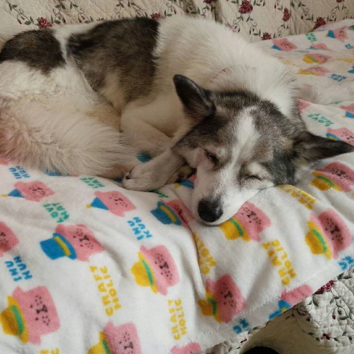 Cf0278d4 1e45 410b adc9 8650ef3ed2e9