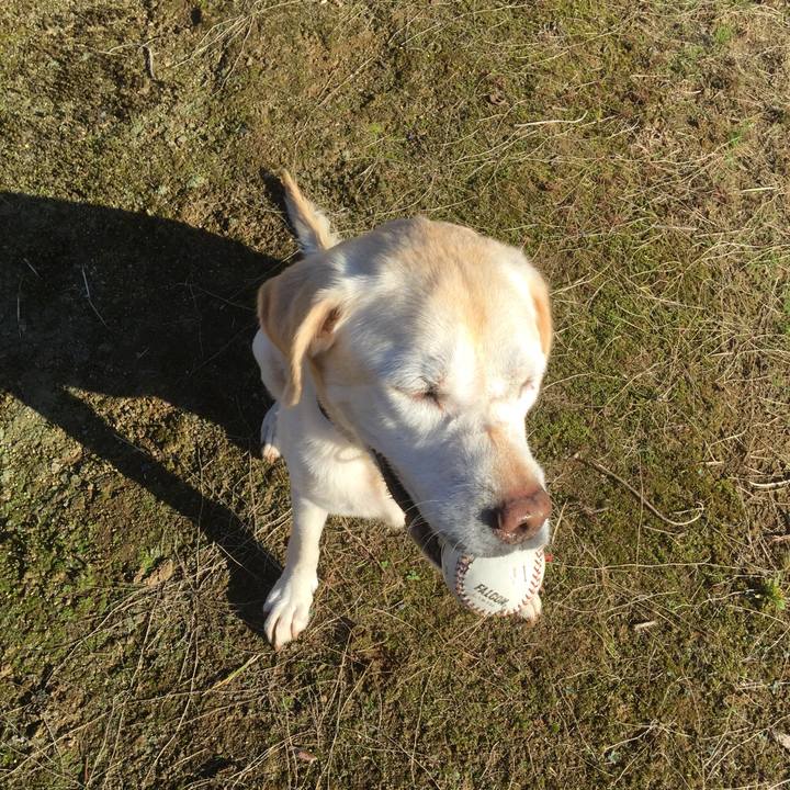 Cf02a603 ee73 4ad1 bc2f f7d432b41266