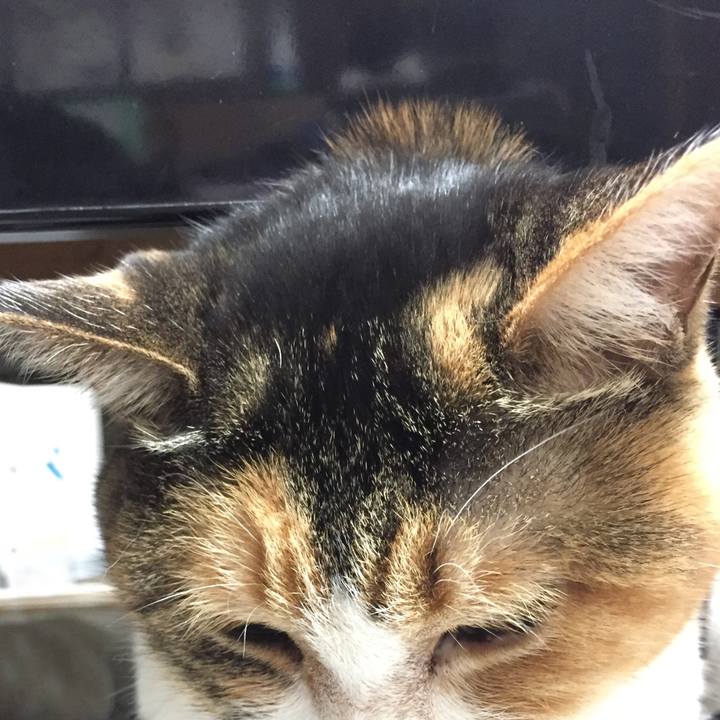 Cf02bf9a 449b 403e 9818 b0d36d6bef55