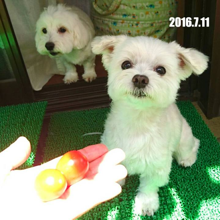 Cf031fa9 3259 4bd3 aa26 1b9f31c3ee03