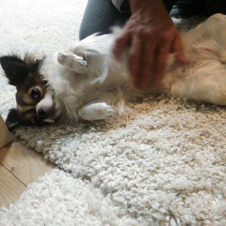 Cf0371a2 6303 4b74 9745 f5218eb109b7