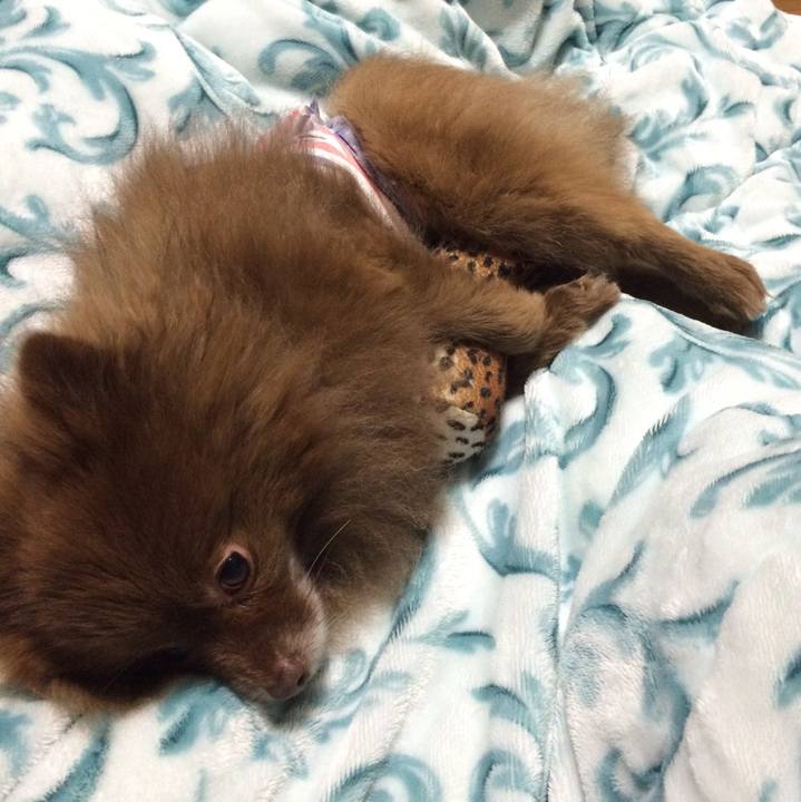 Cf04057f 4391 406d 81c0 890410664b7a