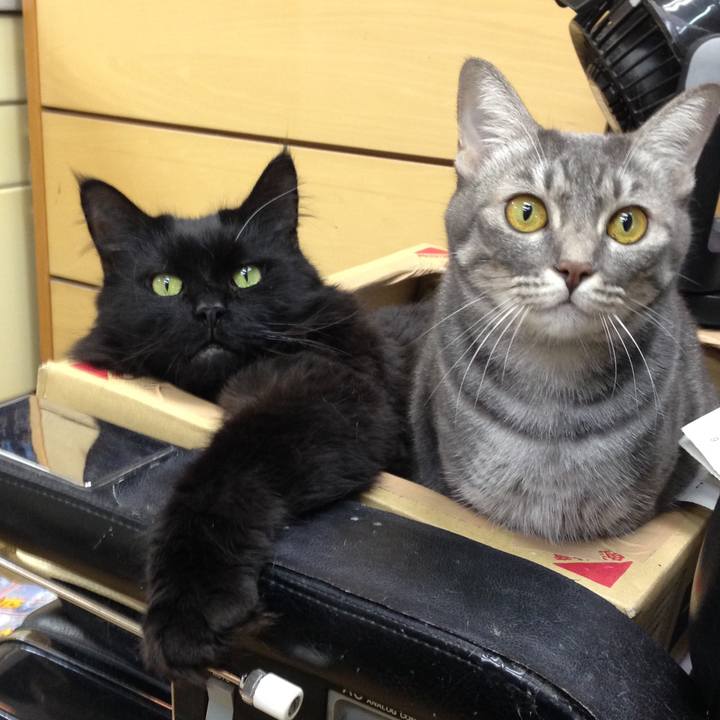 Cf0462e7 df51 4343 8442 7c7cf83bc878