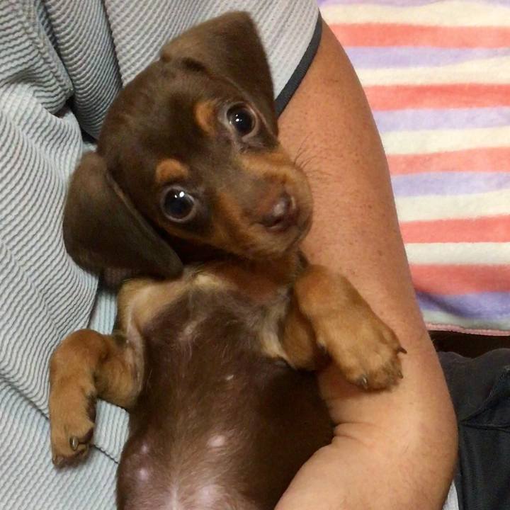 Cf048e45 fe4d 41dd a1c7 dd50eae0a7a6