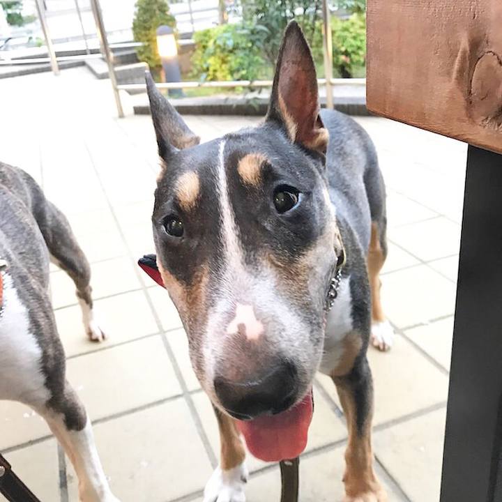 Cf04b72f acfb 4b4b 98dd 4c079e5d51de