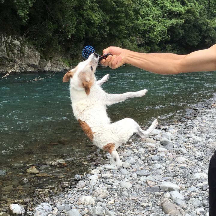 Cf051917 6d52 4930 a357 b75cc442b958