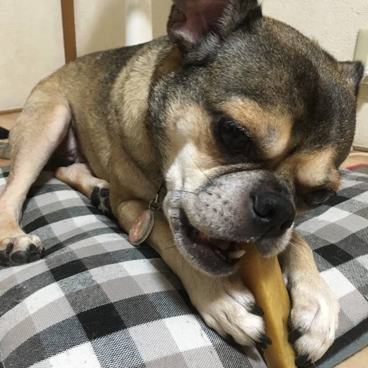 Cf05d207 fb24 4b17 bda0 ab0fb3424da4