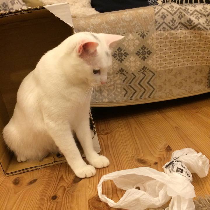 Cf060dde 8d8f 4e84 abe2 46ca12fba97e