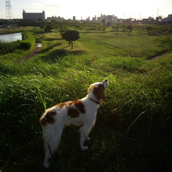 Cf069459 4eac 4e93 9f03 ba984d0eb6f0