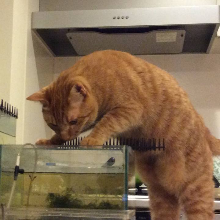 Cf069c90 cedf 4c95 b684 47684825cd93