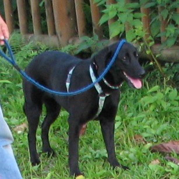 Cf075d3e b5fb 4ed4 aeec f6c9081132f4