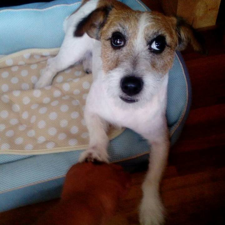 Cf07bd22 ef62 4ed2 ac98 aa485bbbaac8