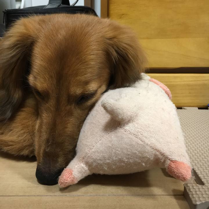 Cf08114f aaf5 43bb a8e8 8868e95074c2