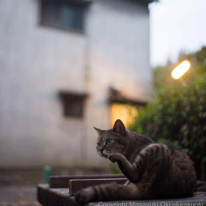 Cf08377c a5af 4eec 97c8 4be638ff66d7