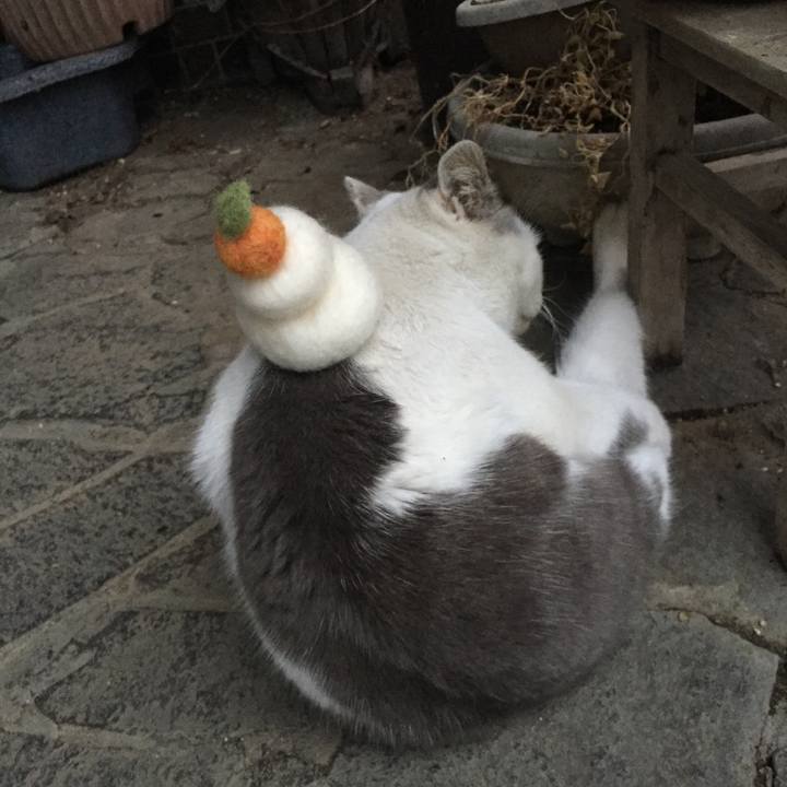 Cf0895a0 de19 4383 b525 de6b2c718df7