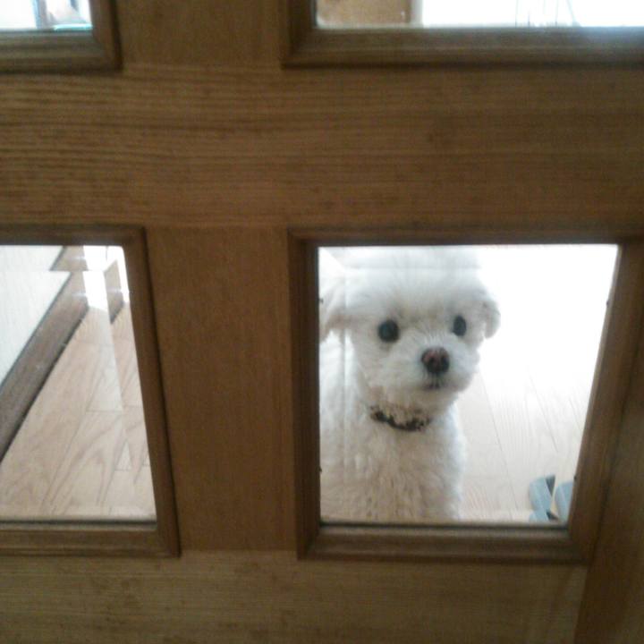 Cf08af0d 190f 45a7 a543 d790e86e5019