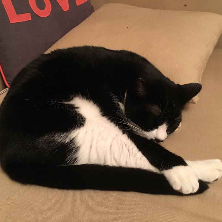 Cf096989 925c 422f a056 26758faf2d7b