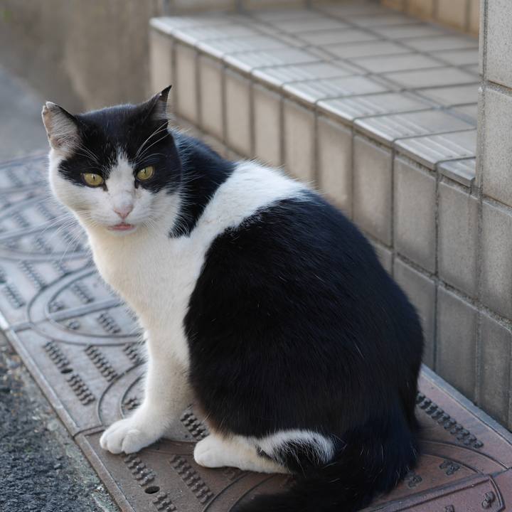 Cf09bab2 3c81 45d4 b58f 7f0d48b0f0c8