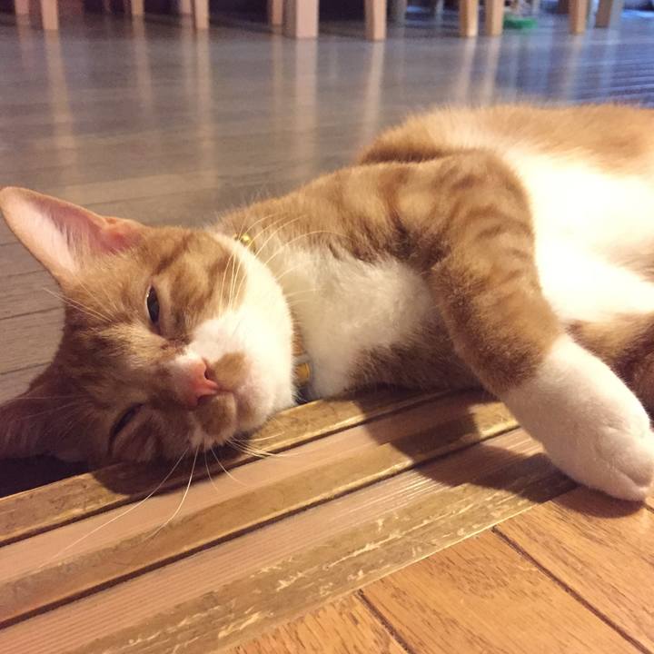 Cf0b0f65 d40f 4864 9a05 316243212785