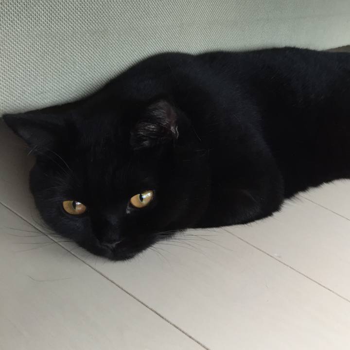 Cf0c402a 3084 4b97 a18a 6bcb82c33fd1