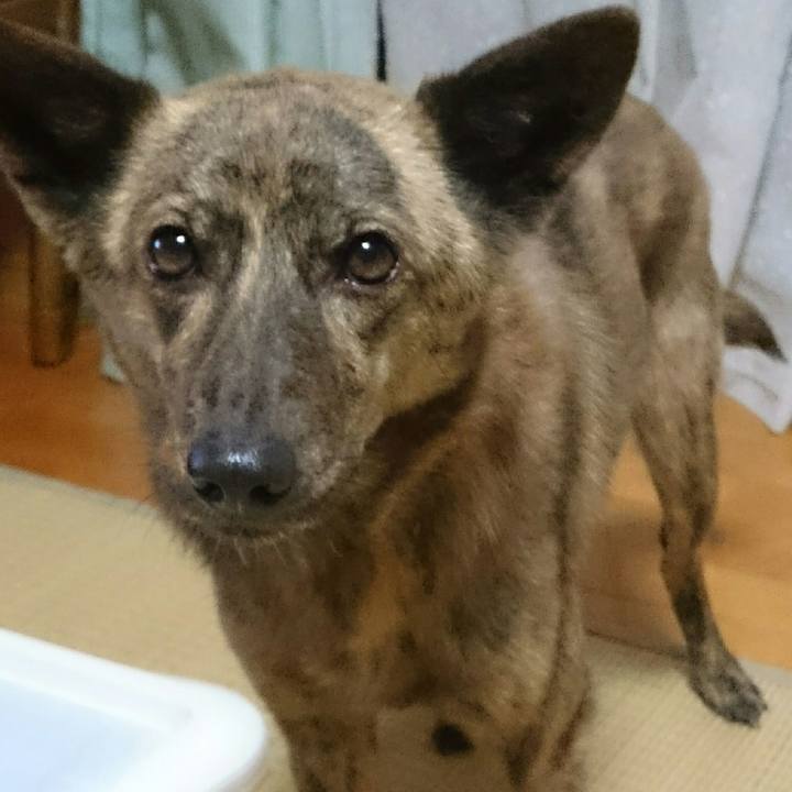 Cf0cad80 001e 4093 9d10 1090a7163e86