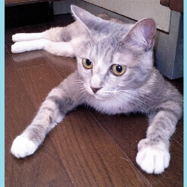 Cf0d6606 e0eb 4c48 8565 280f974b2fb0