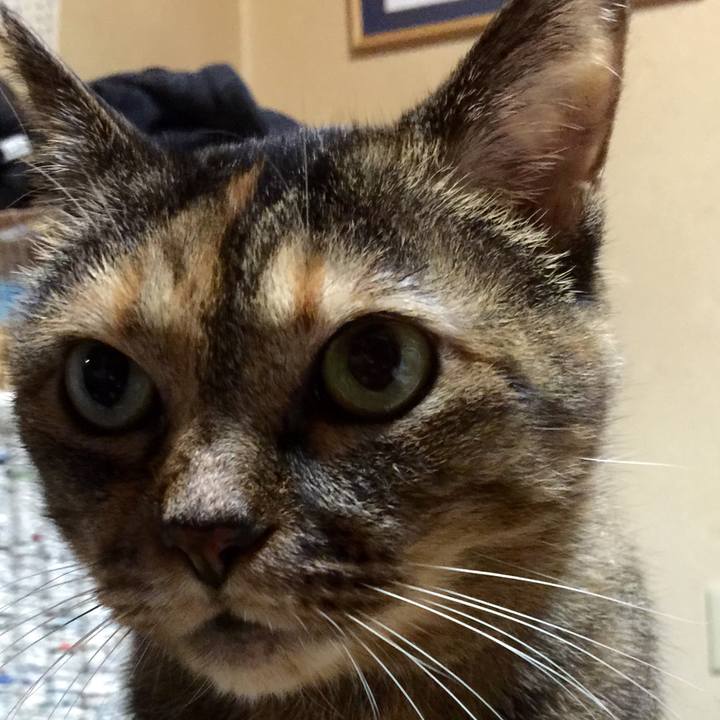 Cf0d68b2 cfbf 4bdb afb1 5db148139119