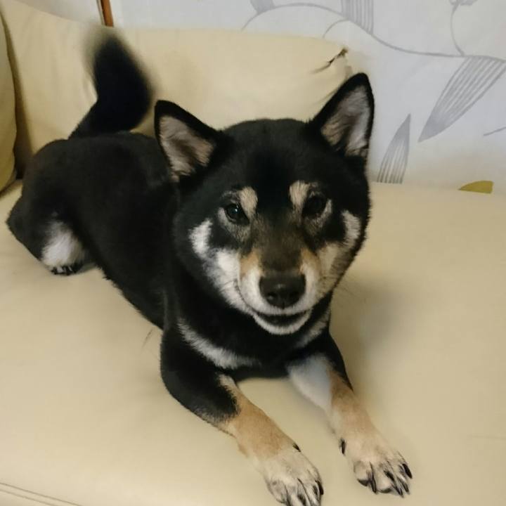 Cf0f1ef0 44da 4ef1 afa1 c2446115d66d