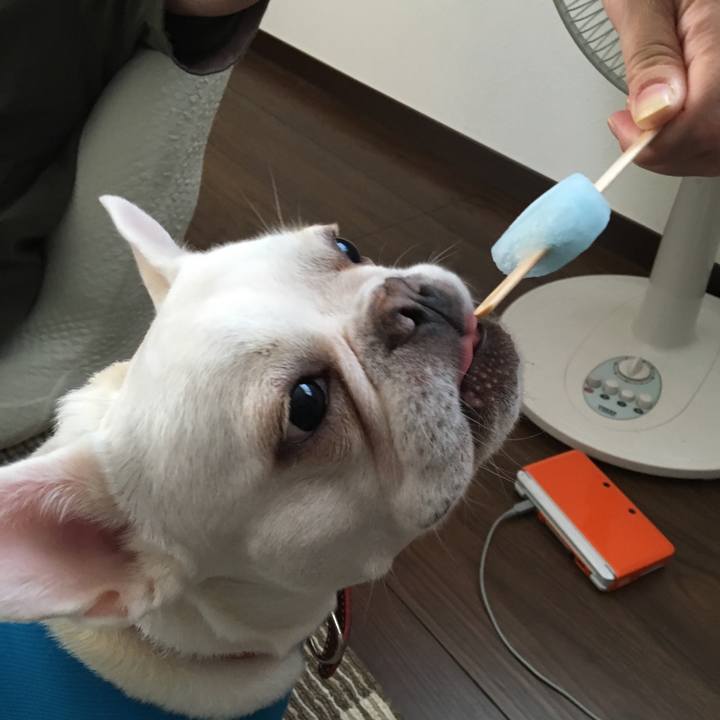 Cf0f37ee 3cbd 49e2 8fd1 deda61a11c8e