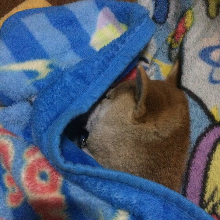 Cf1027c3 a0ae 4bf1 a256 2e218d36286d