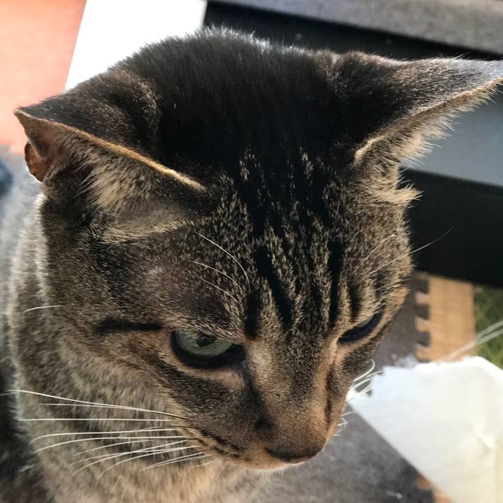 Cf10559d 5ec3 4da1 b424 74d4171ca0fe