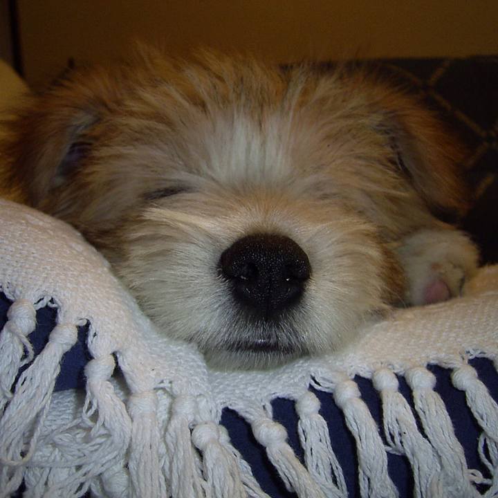 Cf106250 4017 4639 b9ae b80b421be68e