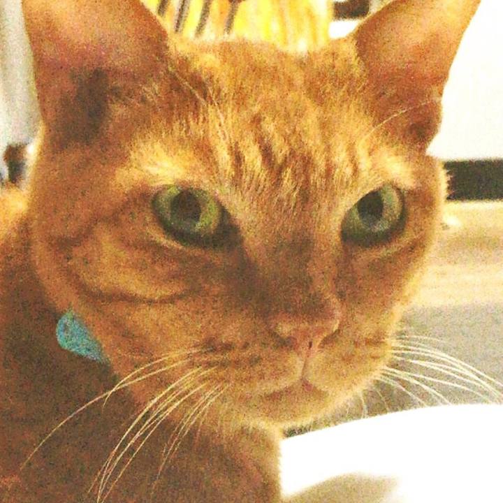 Cf1064a8 8312 4d4d 9809 784da70298b5